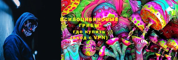 apvp Балахна