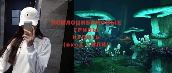 apvp Балахна