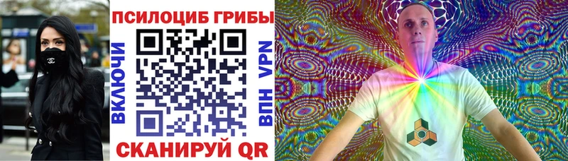 Псилоцибиновые грибы Cubensis Светлоград